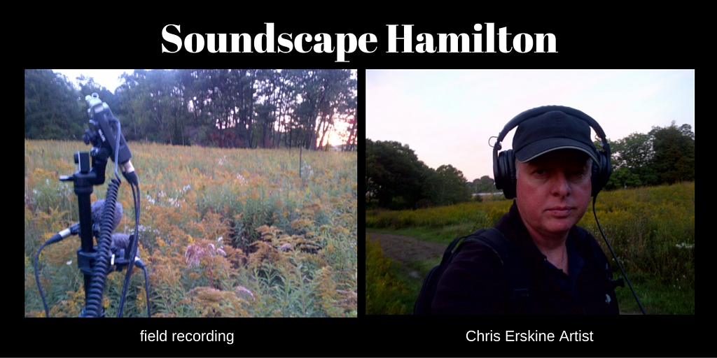 field recording at Princess Point, Hamilton (Ont).