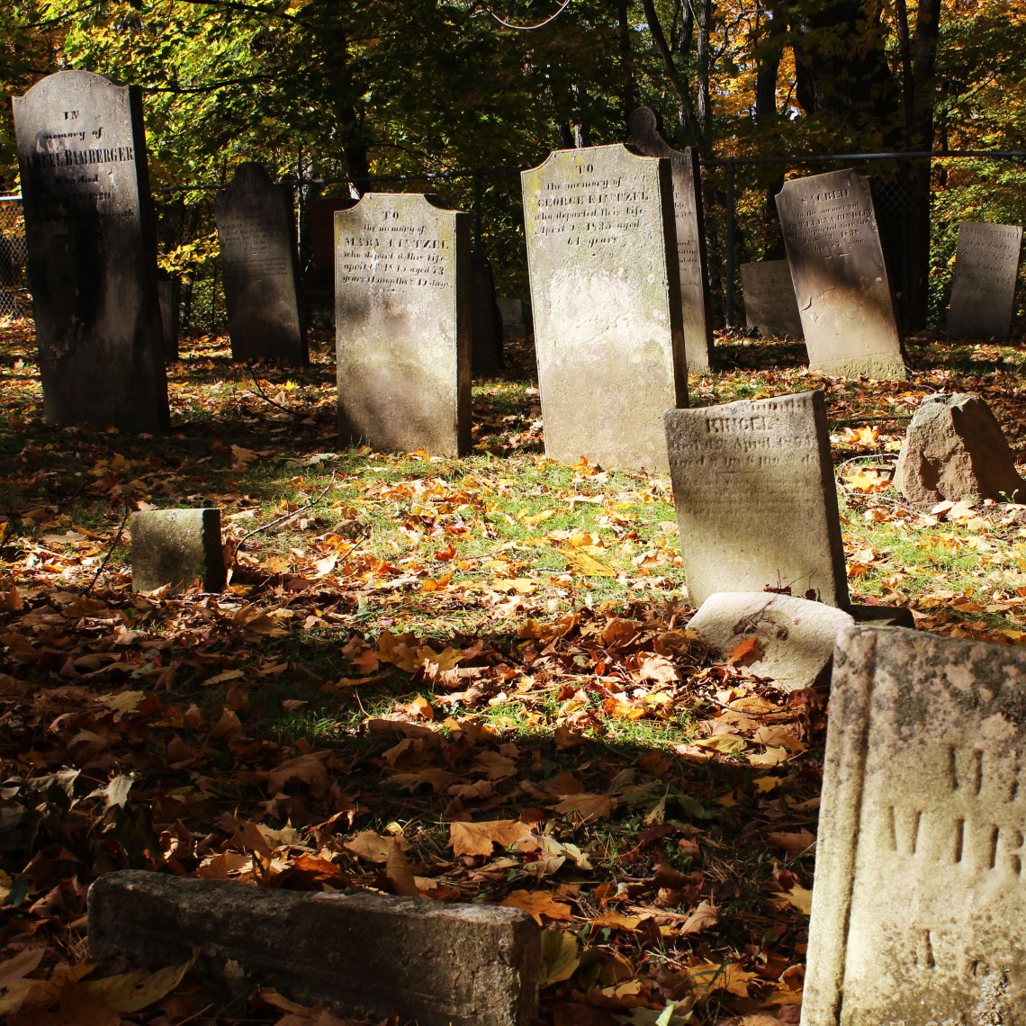 Binkley 1803 Graveyard, Hamilton (Ont). Photo by @erskinec