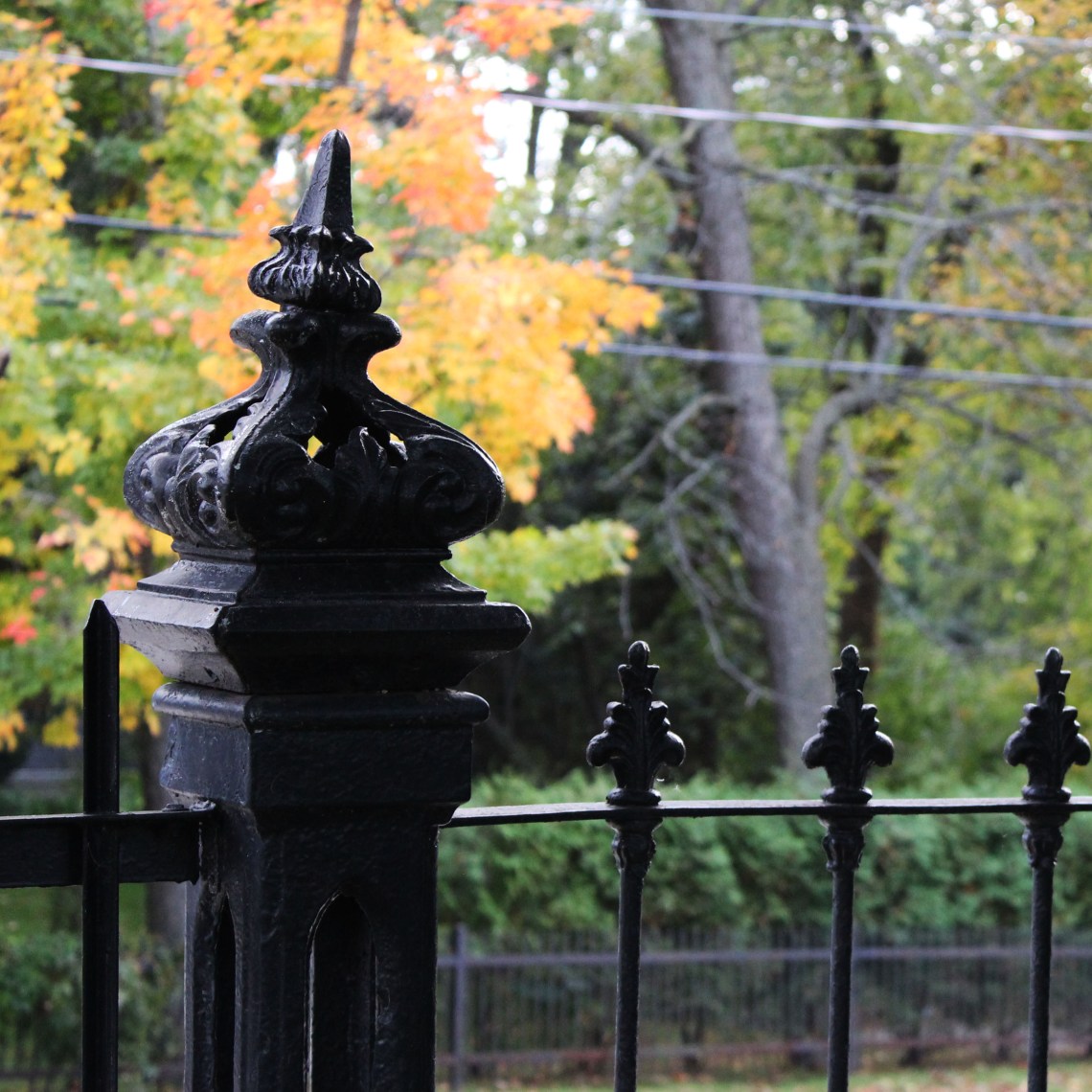 Ancaster (Ont). Photo by @erskinec