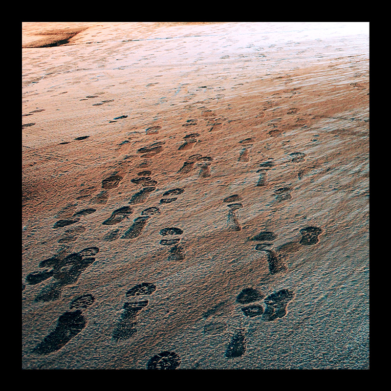 Footprints, Hamilton (Ont). Photo by @erskinec