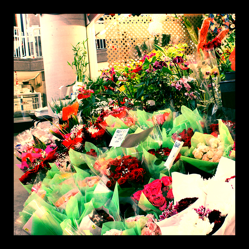 Market Flowers, Hamilton (Ont). Photo by @erskinec