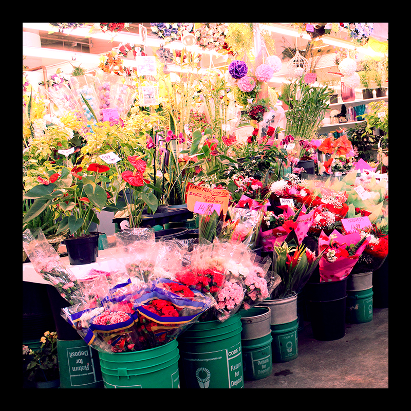 Market Flowers, Hamilton (Ont). Photo by @erskinec