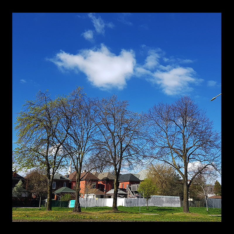 York Blvd, Hamilton (Ont). Photo by @erskinec