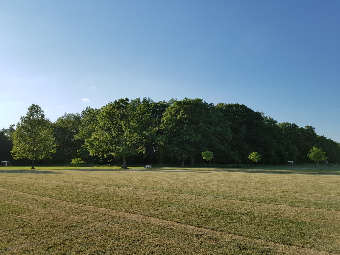 Ghost Tree Landscape, Churchill Park, Hamilton (Ont). Photo taken on June 17th, 2016.